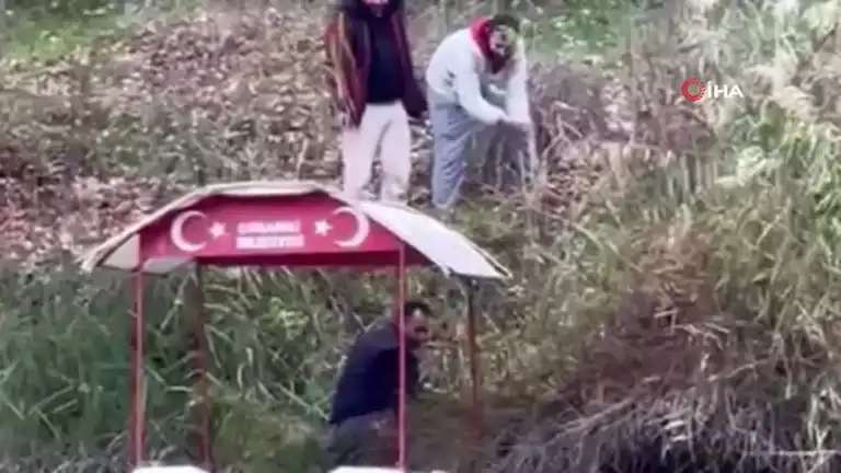 Sakarya Nehri'nde Köpek Dramı: Tekneyle Kurtarıldı